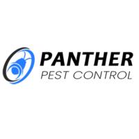 Panther Spider Control Brisbane image 1